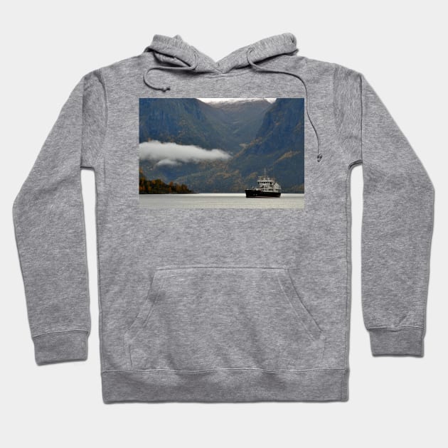 Aurlandsfjord Flam Norwegian Fjord Norway Hoodie by Andy Evans Photos